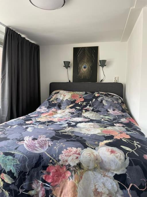 Appartement In Centrum ألكمار المظهر الخارجي الصورة