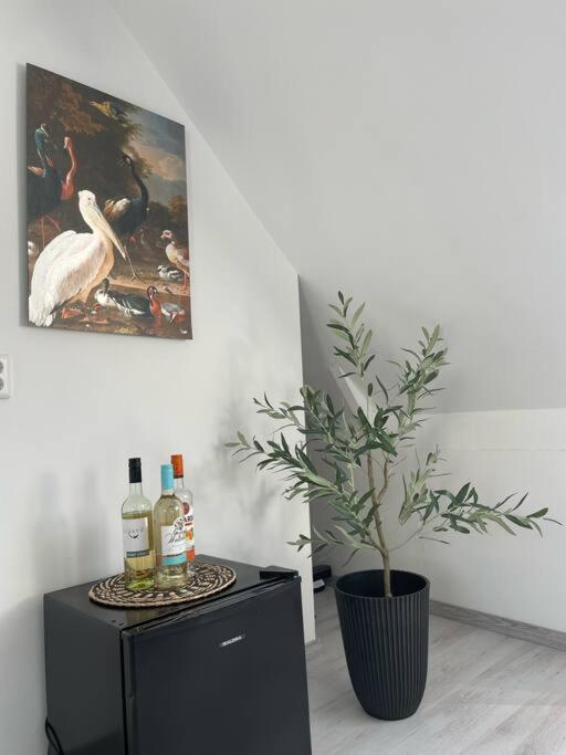 Appartement In Centrum ألكمار المظهر الخارجي الصورة